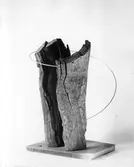 Konstverk,   Två trä med ring.