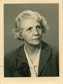 Bib Adelskölds passfoto 1956.