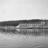 Fartyget Rosita Maria vid kaj
