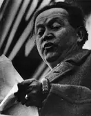 Författaren Hjalmar Bergman