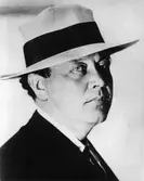 Författaren Hjalmar Bergman