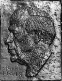Relief Sigurd Elvin