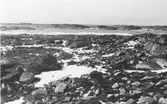 Stenig strandlinje söder om Valldahemmet i Onsala.