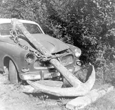 Ankare funnet av sportdykare utanför Sälsten.