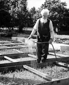 Direktör Viktor Lundgren, trädgårsmästare, fröhandlare, fotograf och föreläsare, f. 1884 d. 1966. Forslunds Foto.