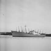 Fartyget Lions Gate på Älven
