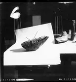 Konstverk,  Koordinat.