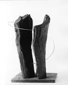 Konstverk, Två trä med ring. 