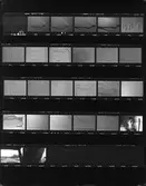 Fotostatkopia, Konstverk, Vita reliefer.; ; ; ; 