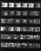  Skulpturer. Fotostatkopia 