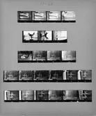 Kontaktkarta med skulpturer.; ; ; ; 