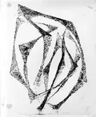 Fotografi av bokomslag Fromma mord.