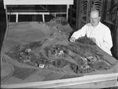 Man vid en modell av Gamla Uppsala fornlämningsområde, 1947