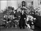 Kvinna och man i hemmiljö omgiven av blommor, Uppland 1950