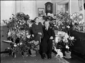 Kvinna och man i hemmiljö omgiven av blommor, Uppland 1950