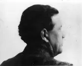 Författaren Hjalmar Bergman. 