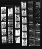 Skulpturer. Fotostatkopia 