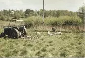 En traktor med påkopplad tröska står på ängsmarken tillhörande 