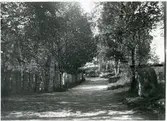 Västerås, Västermalm, Djäkneberget.
En rad med minnesstenar utmed gångväg. 1890-talet.