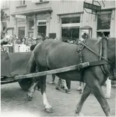 Vänersborg. Kortege på Kungsgatan
