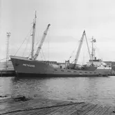 Fartyget Meteoor vid kaj
