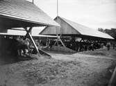 1898 års lantbruksmöte