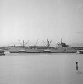 Fartyget Birgit Ragne vid kaj
