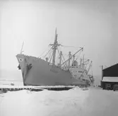 Fartyget Dalhem vid kaj

