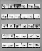 Kontaktkarta med skulpturer.