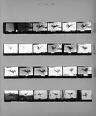 Kontaktkarta med skulptur.