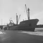 Fartyget Blankenburg vid kaj

