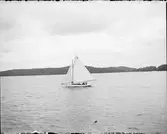 Segelbåt, Uppland