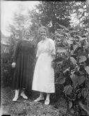 Kvinnor i trädgård, Uppsala