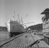 Fartyget Margit Gorthon vid kaj

