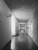 CENTRALSKOLA & GYMNASIUM I KALIX
EXT. OCH INT.