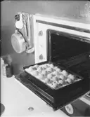 SPECERIER UPPSTÄLLDA PÅ STENGOLV, SNIGLAR I FAT PÅ UNGSLUCKA