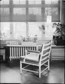 JAPANSKA SPJÄLGARDINER SAMT REDSKAP FÖR MÅLNING