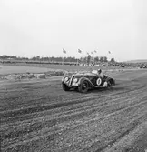 Stilstudie. Gelleråsen, Karlskoga. 1950-06-04