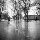 Snösmältning vid Södra Station. 1946-02