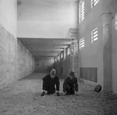 Inspektion av Idrottshuset,  1946-02