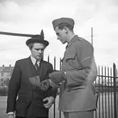 Passerkontroll av ny rekryt på I3, Grenadjärstaden, 1946-04-08