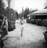 Mot målet i terränglöpning i Brunnsparken, 1946-04-14
