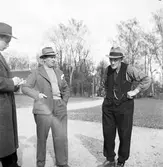 Intervju med stadens trädgårdsmästare i Örebro Stadsträdgård, 1946-04-29