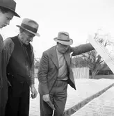 Vid drivbänkarna i Örebro Stadsträdgård, 1946-04-29