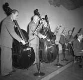Tre kontrabasister i orkesterföreningen i Konserthuset, 1947-10-05