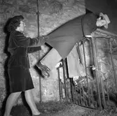 Kärlekspar i Örebro, 1947-10-13