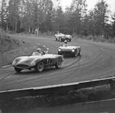 Ferrarifölje på Gelleråsen, Karlskoga.1956-08-05