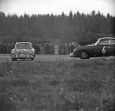 Med nosen åt var sitt håll på Gelleråsen, Karlskoga. 1956-08-25