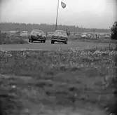 Två Alfor i närkamp på Gelleråsen, Karlskoga. 1956-08-25