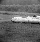 Lotus i spenaten. Gelleråsen, Karlskoga. 1957-08-26